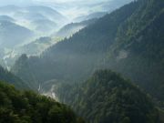 Sokolica , Pieninki , Pieniny