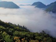 Czertezik , Pieninki , Pieniny