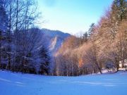 polana Walusiówka , Pieninki , Pieniny