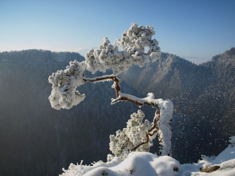 Sokolica , Pieninki , Pieniny
