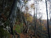 Trail to "Trzy Korony" Mountain , Pieniny , Poland